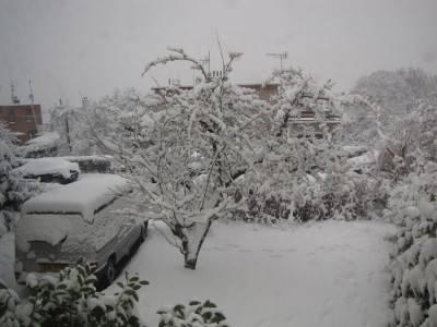Březnový sníh 2.jpg