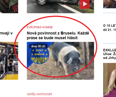 EU a prasátka.png